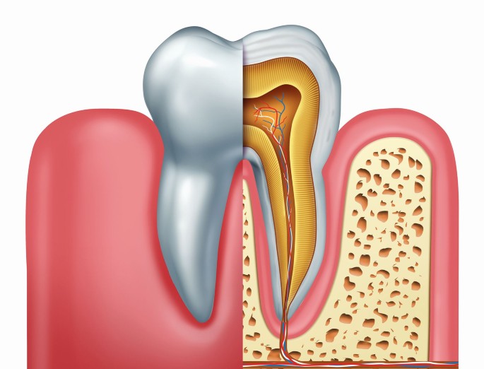 dental services